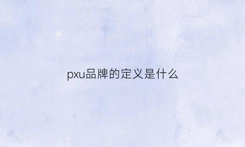 pxu品牌的定义是什么