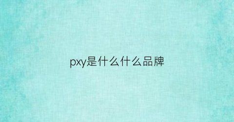 pxy是什么什么品牌(pwy是什么品牌)