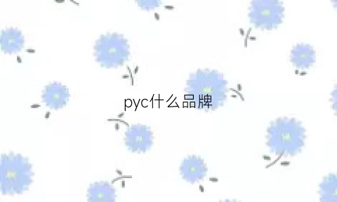 pyc什么品牌(ypyc是什么牌子)