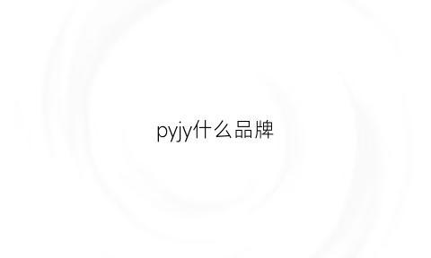 pyjy什么品牌(pyle是什么品牌)