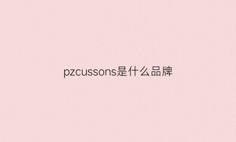 pzcussons是什么品牌(pursonic是什么牌子)