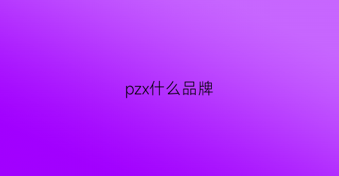 pzx什么品牌(px什么牌子)