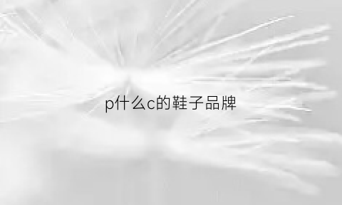 p什么c的鞋子品牌