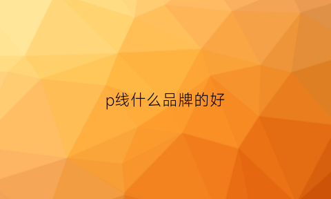 p线什么品牌的好(pd线品牌)