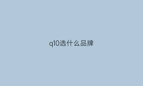 q10选什么品牌