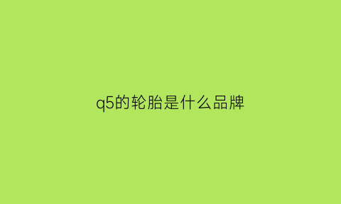 q5的轮胎是什么品牌