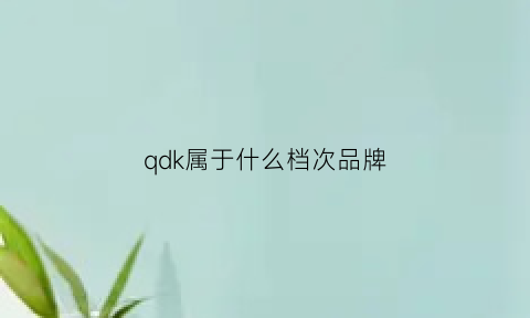 qdk属于什么档次品牌(qki是什么牌子)