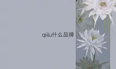 qiilu什么品牌(qiviuk是什么品牌)