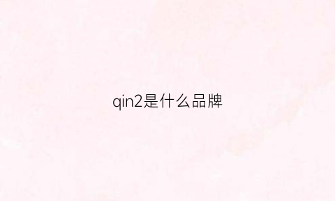 qin2是什么品牌(qnv是什么牌子)