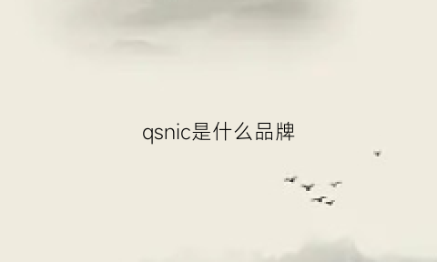 qsnic是什么品牌(qsc是什么牌子)