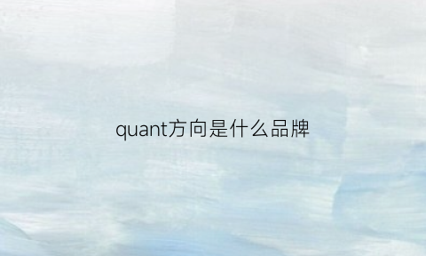 quant方向是什么品牌