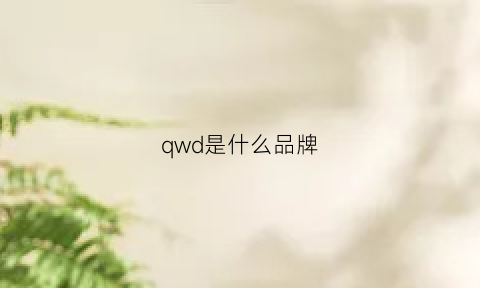 qwd是什么品牌(qdsuh是什么牌子)