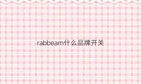 rabbeam什么品牌开关