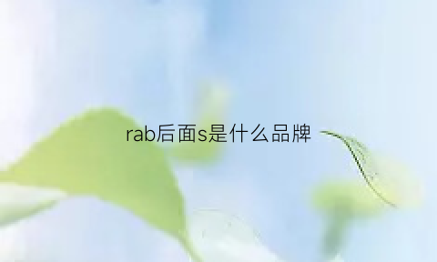 rab后面s是什么品牌(radbvn是什么牌子)