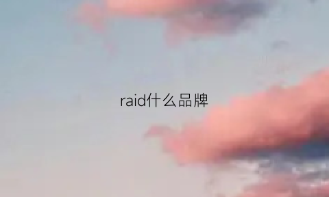 raid什么品牌