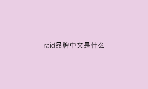 raid品牌中文是什么