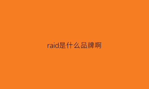 raid是什么品牌啊(raid是什么硬盘)