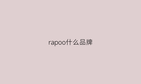 rapoo什么品牌(rapex什么品牌)