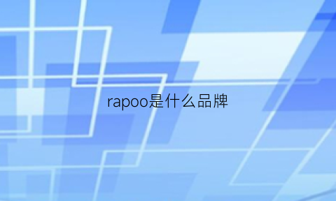 rapoo是什么品牌