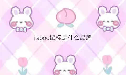 rapoo鼠标是什么品牌(rapoo鼠标没反应了)