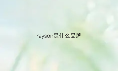 rayson是什么品牌(rayson是什么牌子)