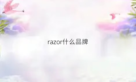 razor什么品牌(razor是什么)