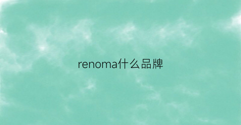 renoma什么品牌(ren是什么品牌)