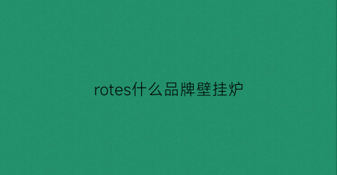 rotes什么品牌壁挂炉(lotte壁挂炉官网)