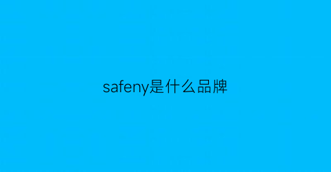 safeny是什么品牌(safeking是什么品牌)