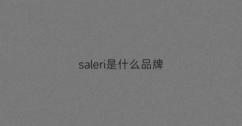 saleri是什么品牌(saleen是什么牌子)