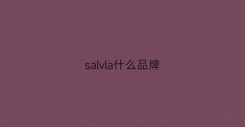 salvla什么品牌(sal是什么品牌)