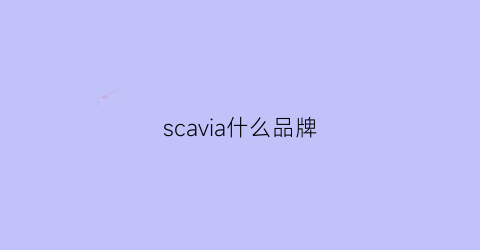 scavia什么品牌(scandinavia是什么品牌)
