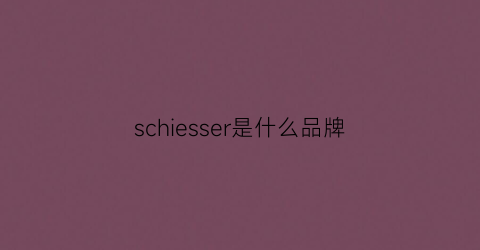 schiesser是什么品牌(schiesser是什么牌子)