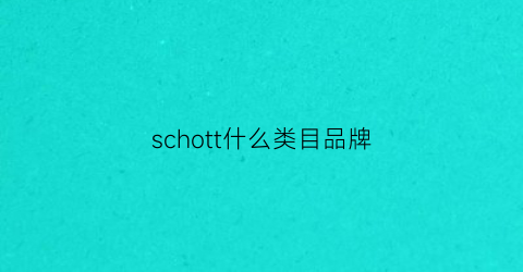 schott什么类目品牌(schott怎么样)