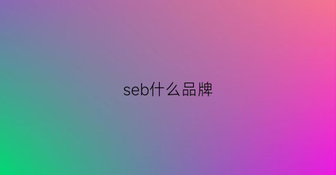 seb什么品牌(sEB什么品牌)