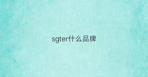 sgter什么品牌(s·deer是什么牌)