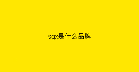 sgx是什么品牌(sx是什么牌子)