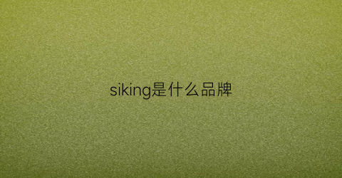 siking是什么品牌(sikkens是什么品牌)