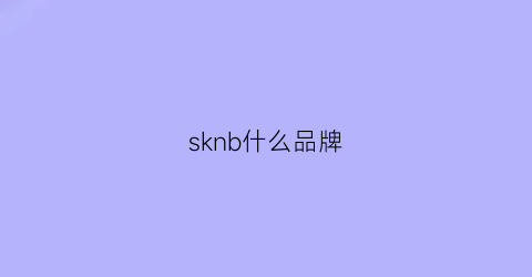 sknb什么品牌(sk是什么品牌)