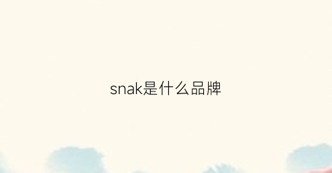 snak是什么品牌(snsk是什么牌子)