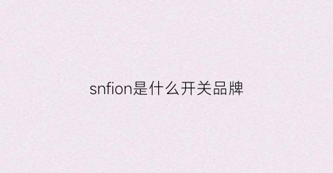 snfion是什么开关品牌