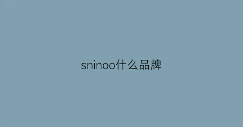 sninoo什么品牌(sinone是什么品牌)