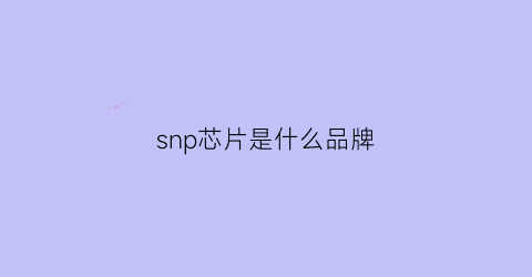 snp芯片是什么品牌(snp芯片技术)