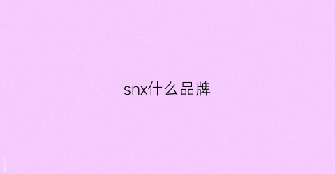 snx什么品牌(sxnfinzs是什么牌子)