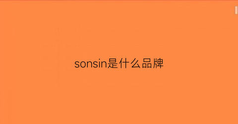 sonsin是什么品牌(soons是什么牌子)