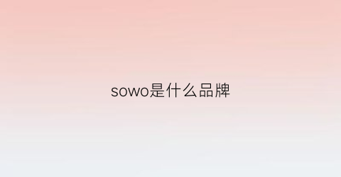 sowo是什么品牌(sowak是什么牌子)