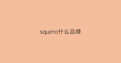 squirro什么品牌(ssurplus×iconslab是什么牌子档次)