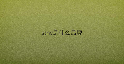 stnv是什么品牌