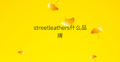 streetleathers什么品牌(streetone品牌介绍)
