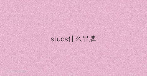 stuos什么品牌(staud什么品牌)